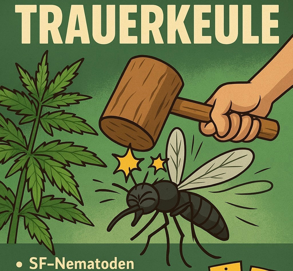 Schädlingsmanagement