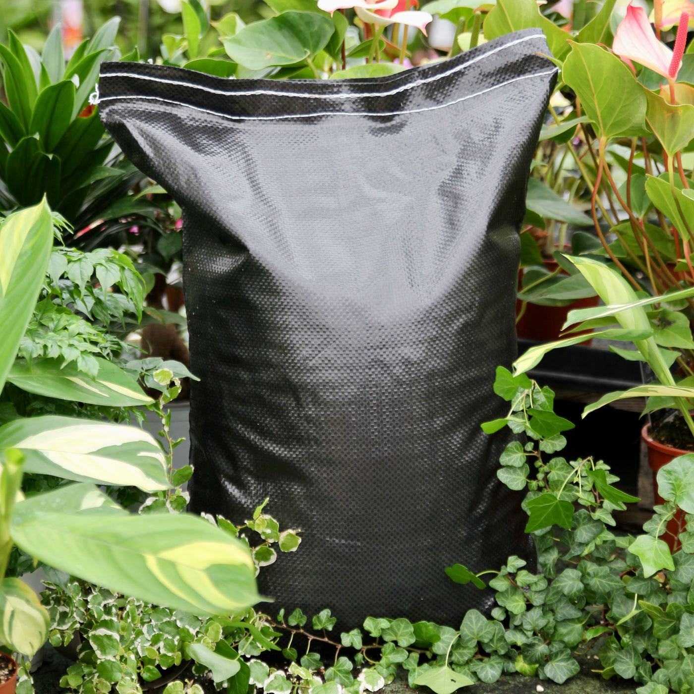 Living Soil Hanferde mit Hanftorf