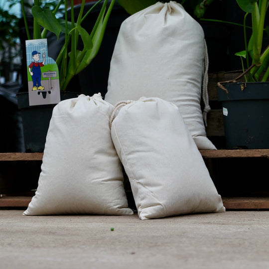Malted Barley - Gemälzte Gerste Bio