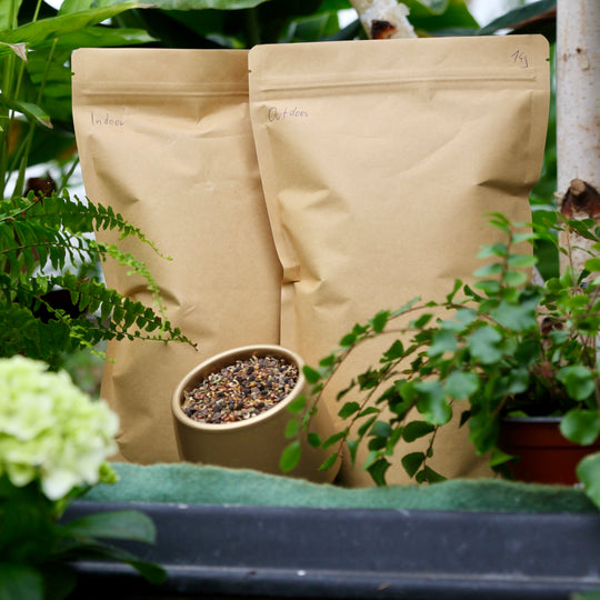 Cover Crop Samenmischung – Gründüngung für Cannabis & Living Soil