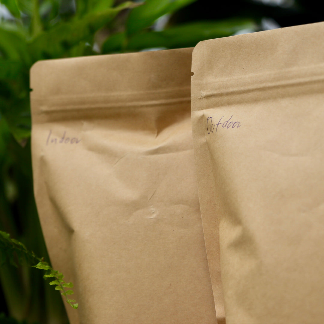 Cover Crop Samenmischung – Gründüngung für Cannabis & Living Soil