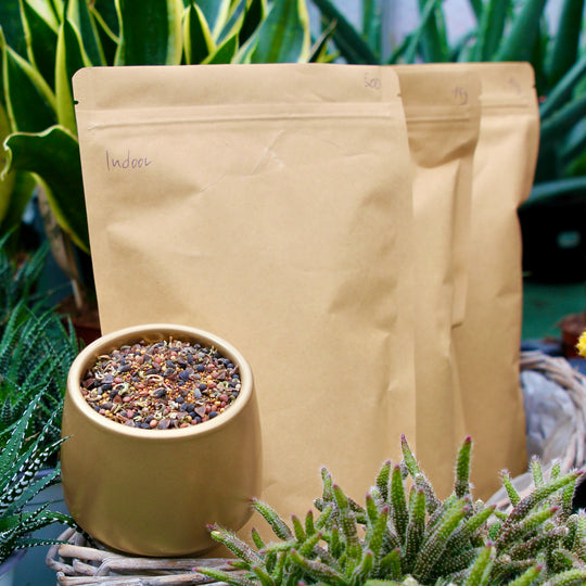 Cover Crop Samenmischung – Gründüngung für Cannabis & Living Soil