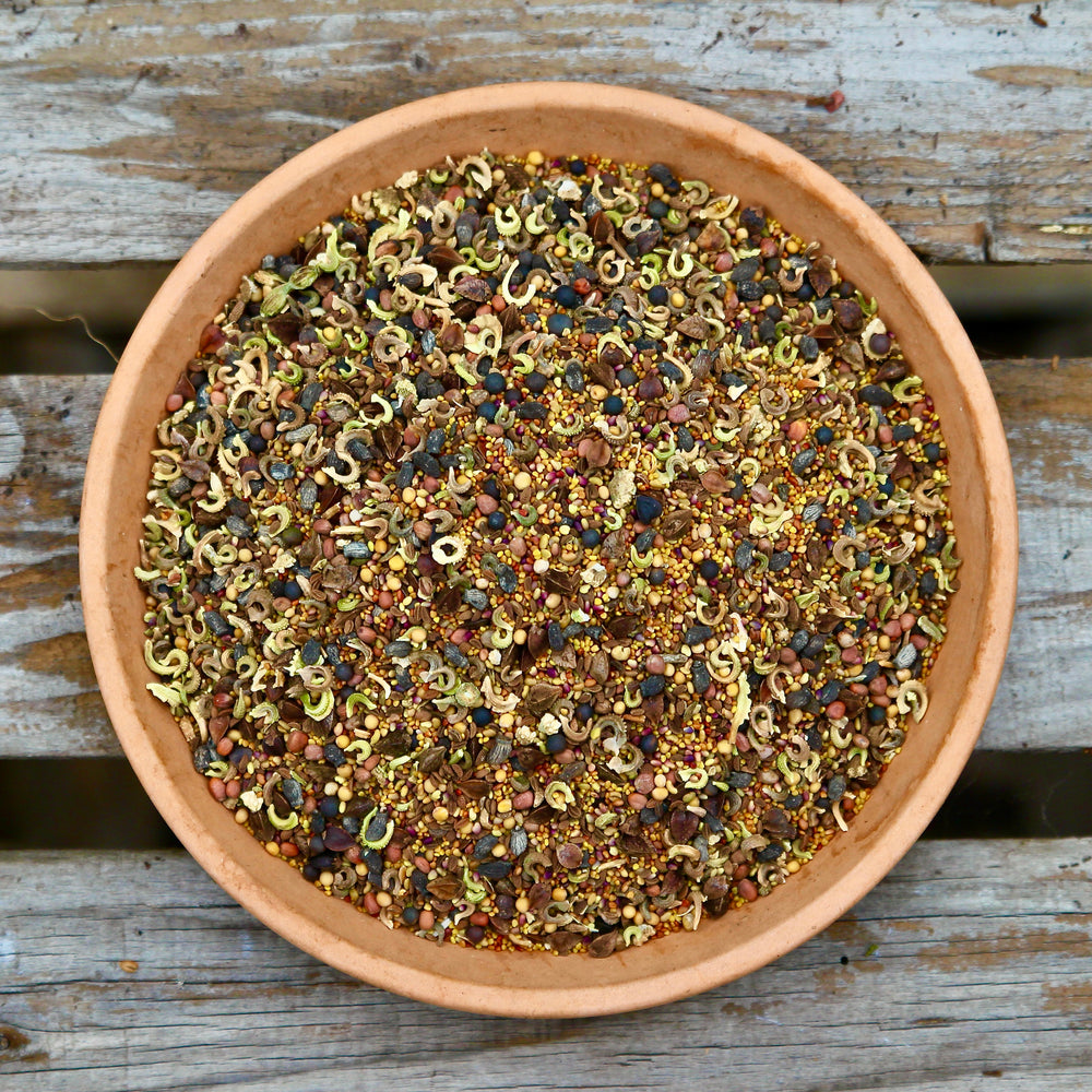 Cover Crop Samenmischung – Gründüngung für Cannabis & Living Soil