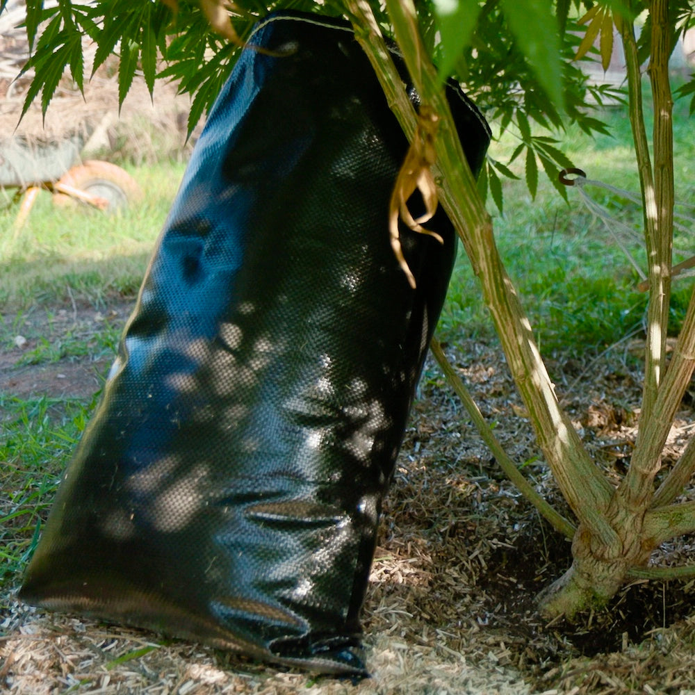Hanfschäben - Hanfmulch