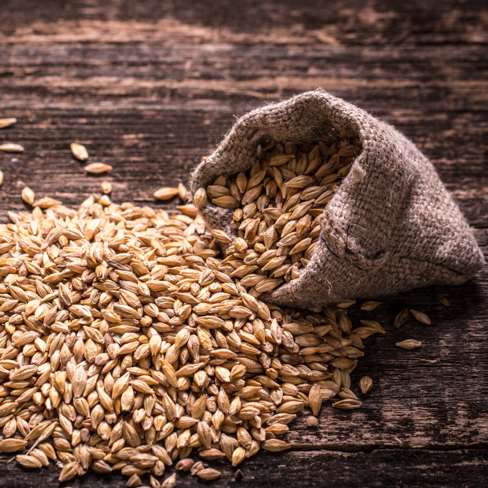 Malted Barley - Gemälzte Gerste Bio